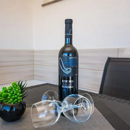 Skundric 5 By Interhome Apartment Vir